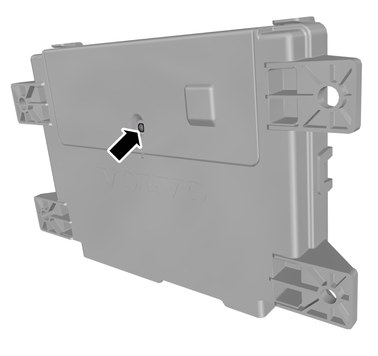GLL1033181
