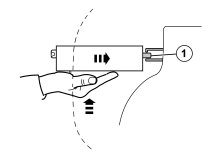 GLL117597