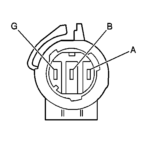 GM306271
