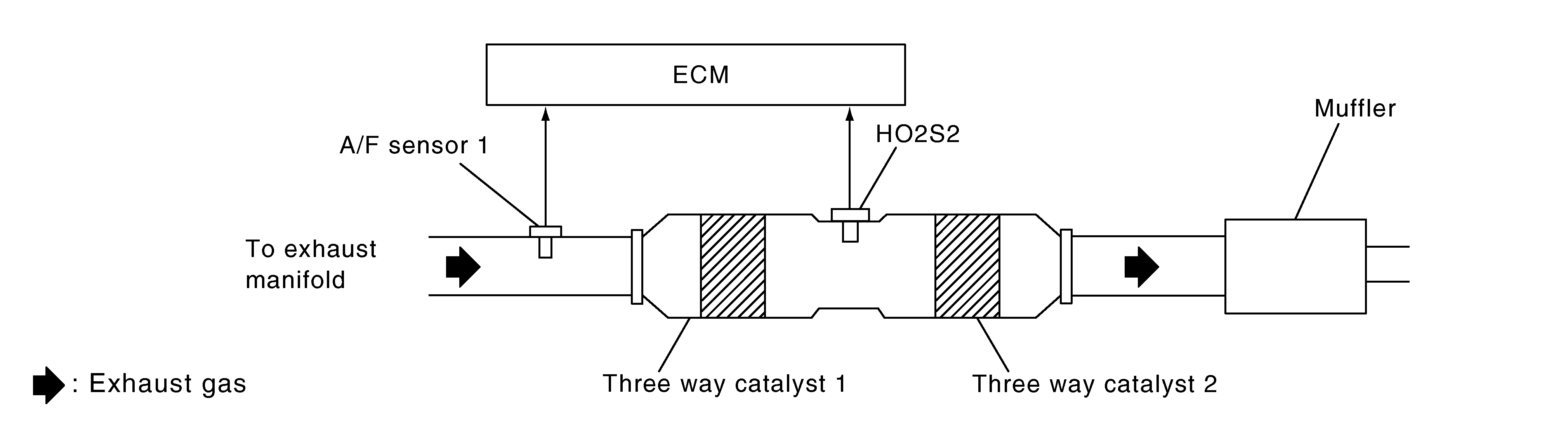 GNSDB13125