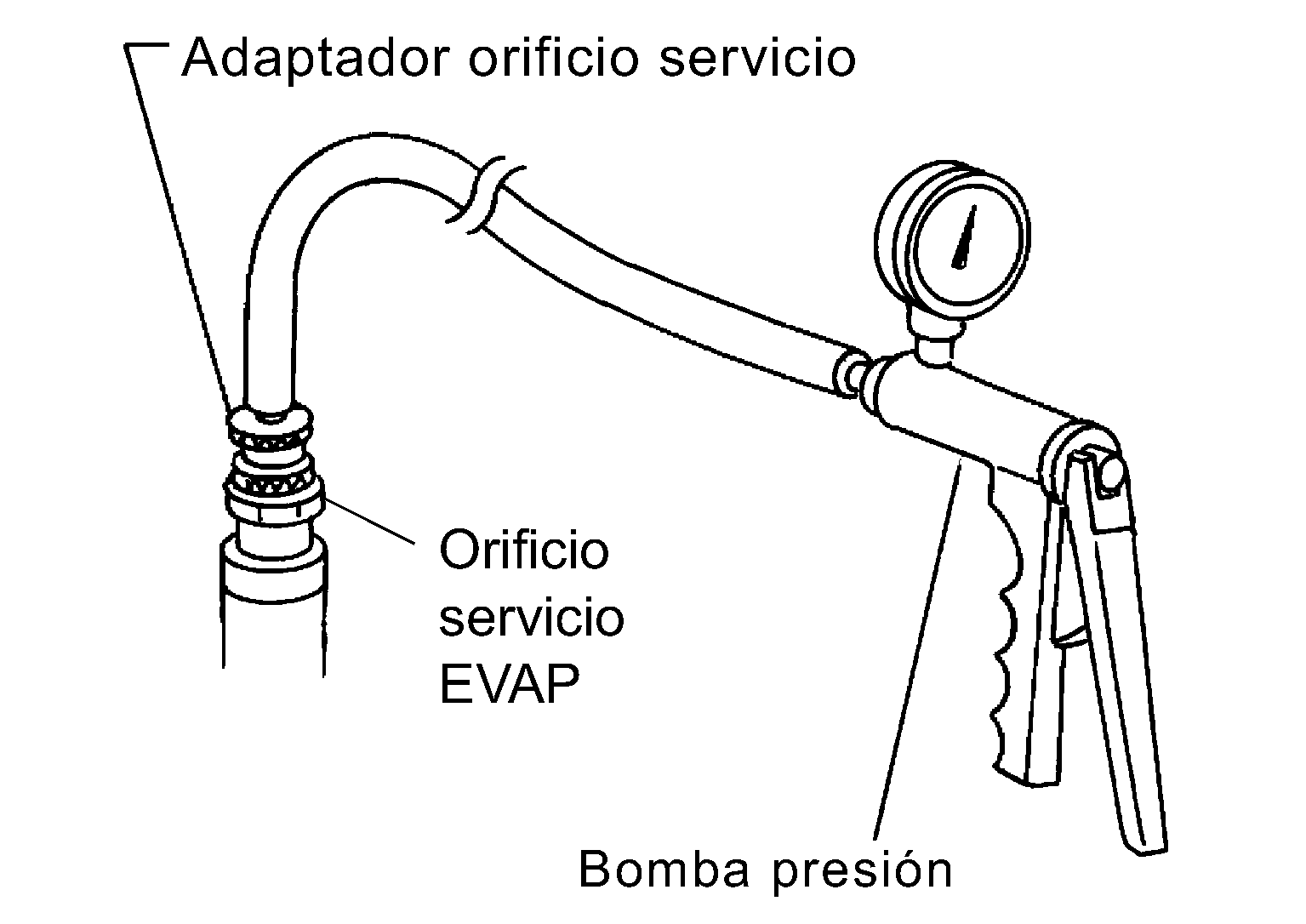 GNSDB43012