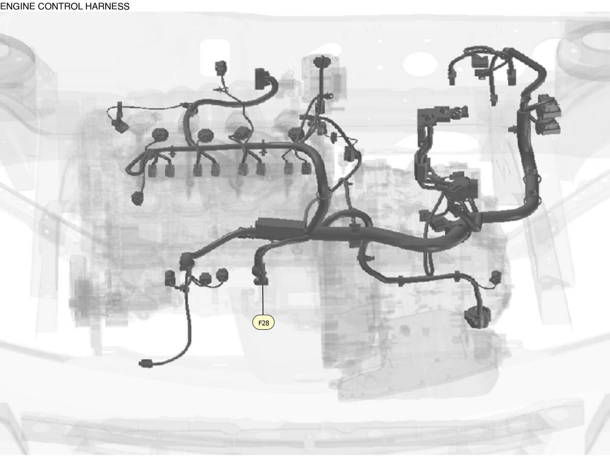 GNSW90111_LK_F028
